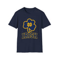 Notre  dame fighting irish